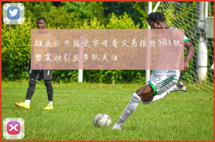 雄鹿公开接受字母哥交易报价NBA联盟震动引发多队关注